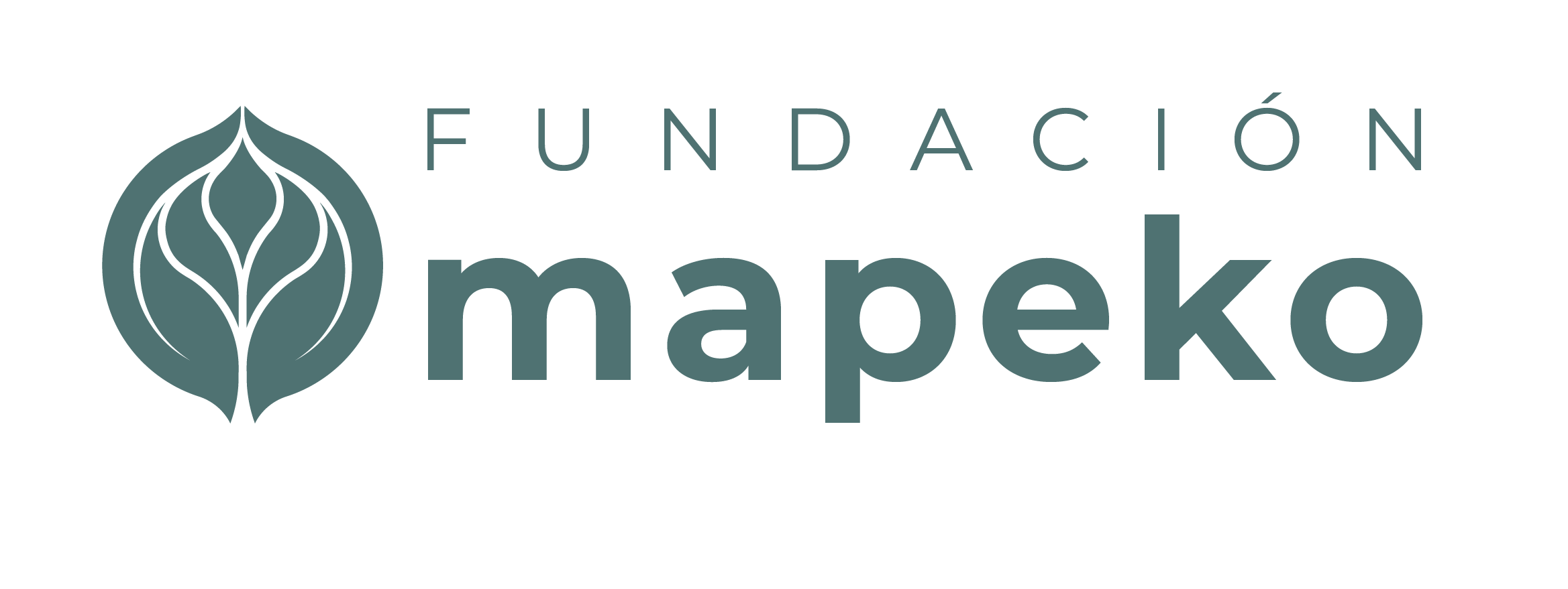 logo fundación mapeko